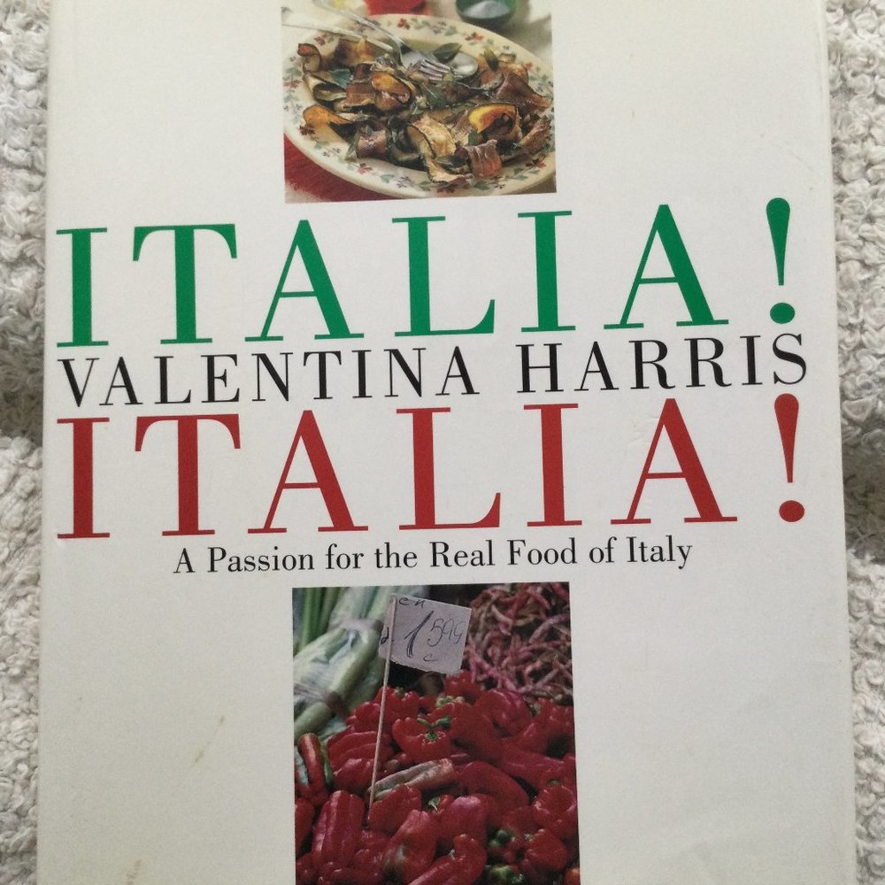 ITALIAN COOKBOOK VINTAGE 1999 Italian Cooking Great Recipes